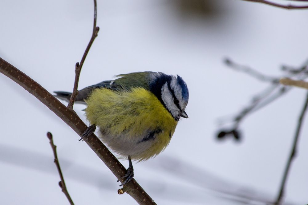 Photograph by Лариса Лебедева