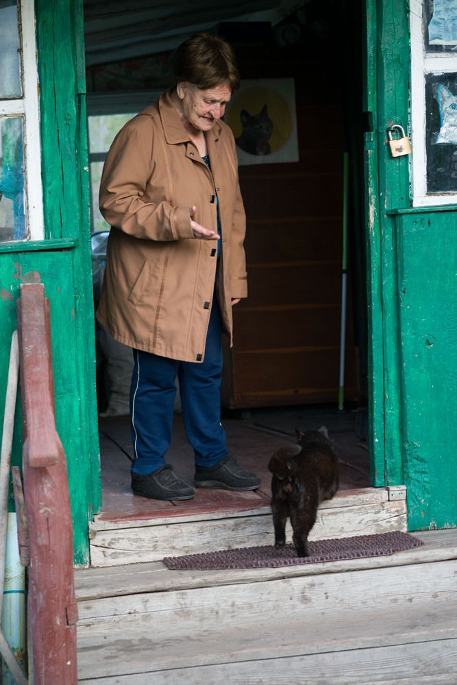 где ж ты шлялся, Барсик?