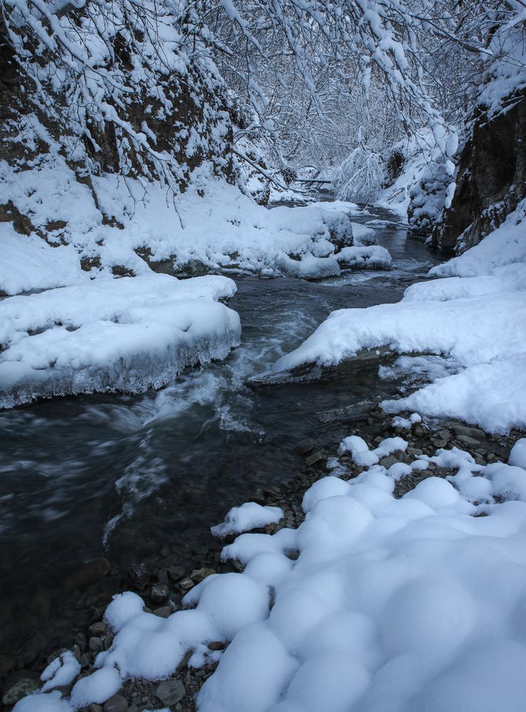 Photograph by Артем Удодов