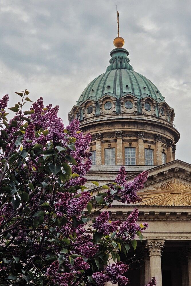 Photograph by Алена Адрианова