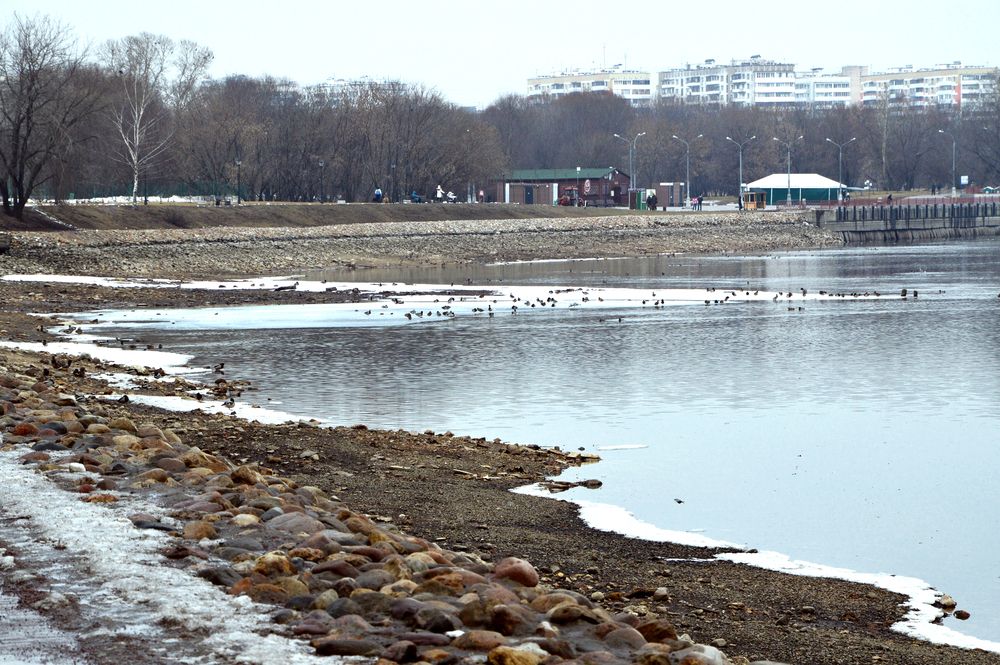 Фотография автора Елена Чулюнина
