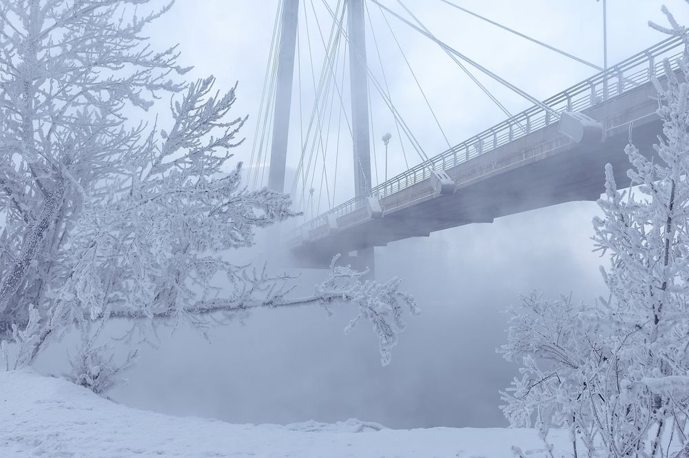 Фотография автора Марина Фомина