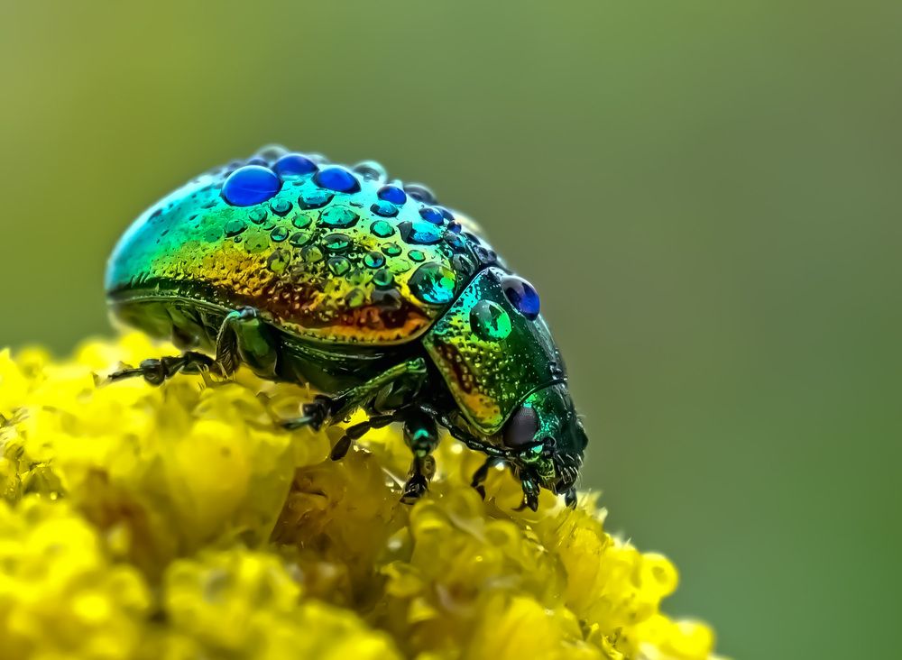 Photograph by Наталья Соколова