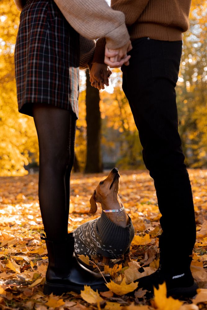 Photograph by Алена Адрианова