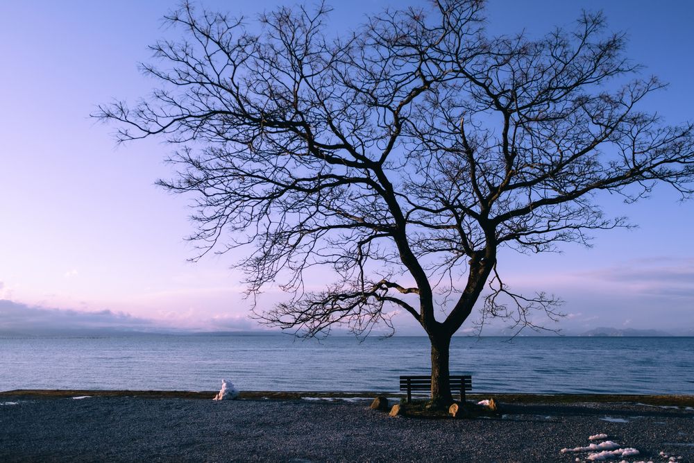 Photograph by tunemori