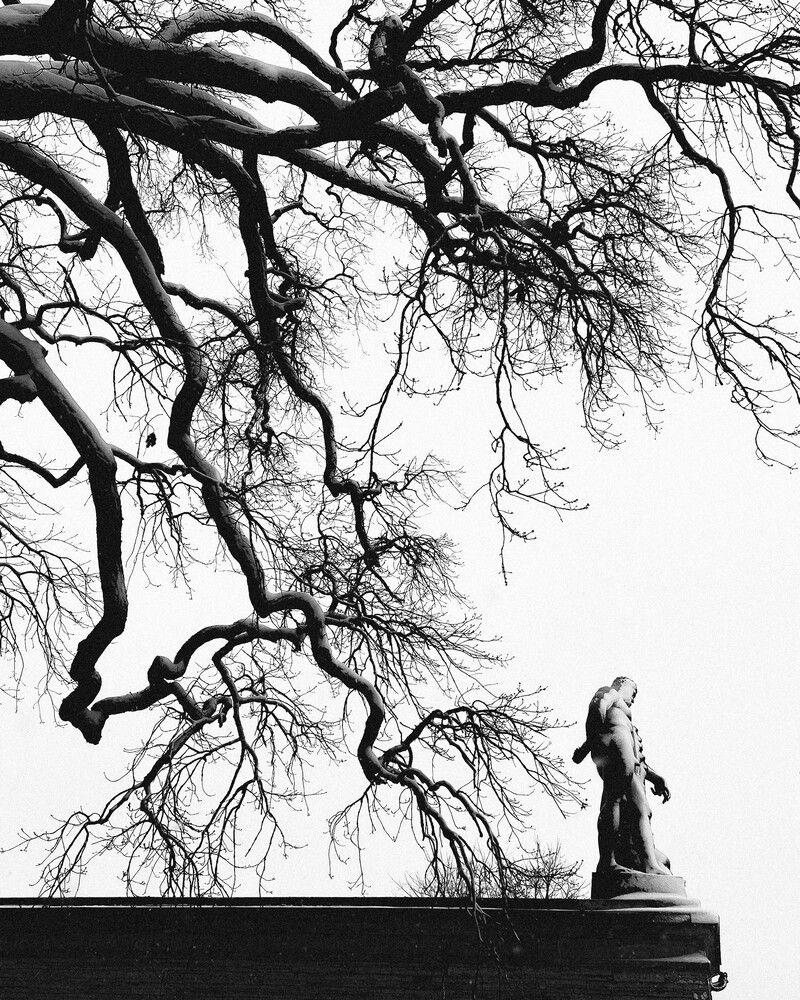 Photograph by Andrey Zhirnov