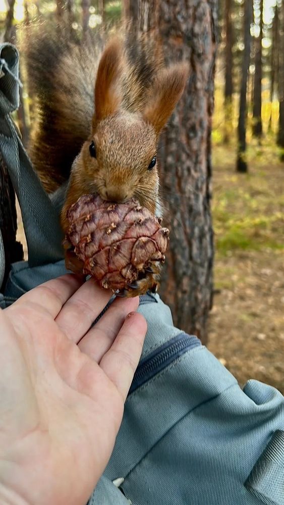 Photograph by Марина Мишутина