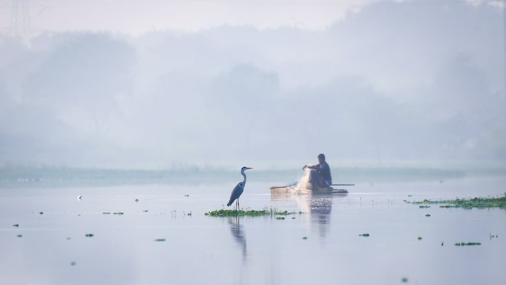 Photograph by Abhishek Pradhan