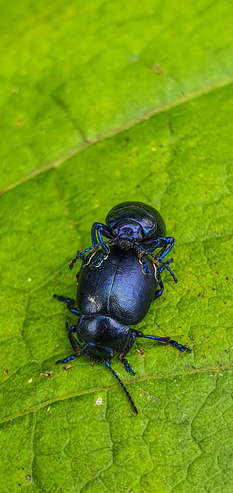 Photograph by ЕЛЕНА Рохо-Фернандес