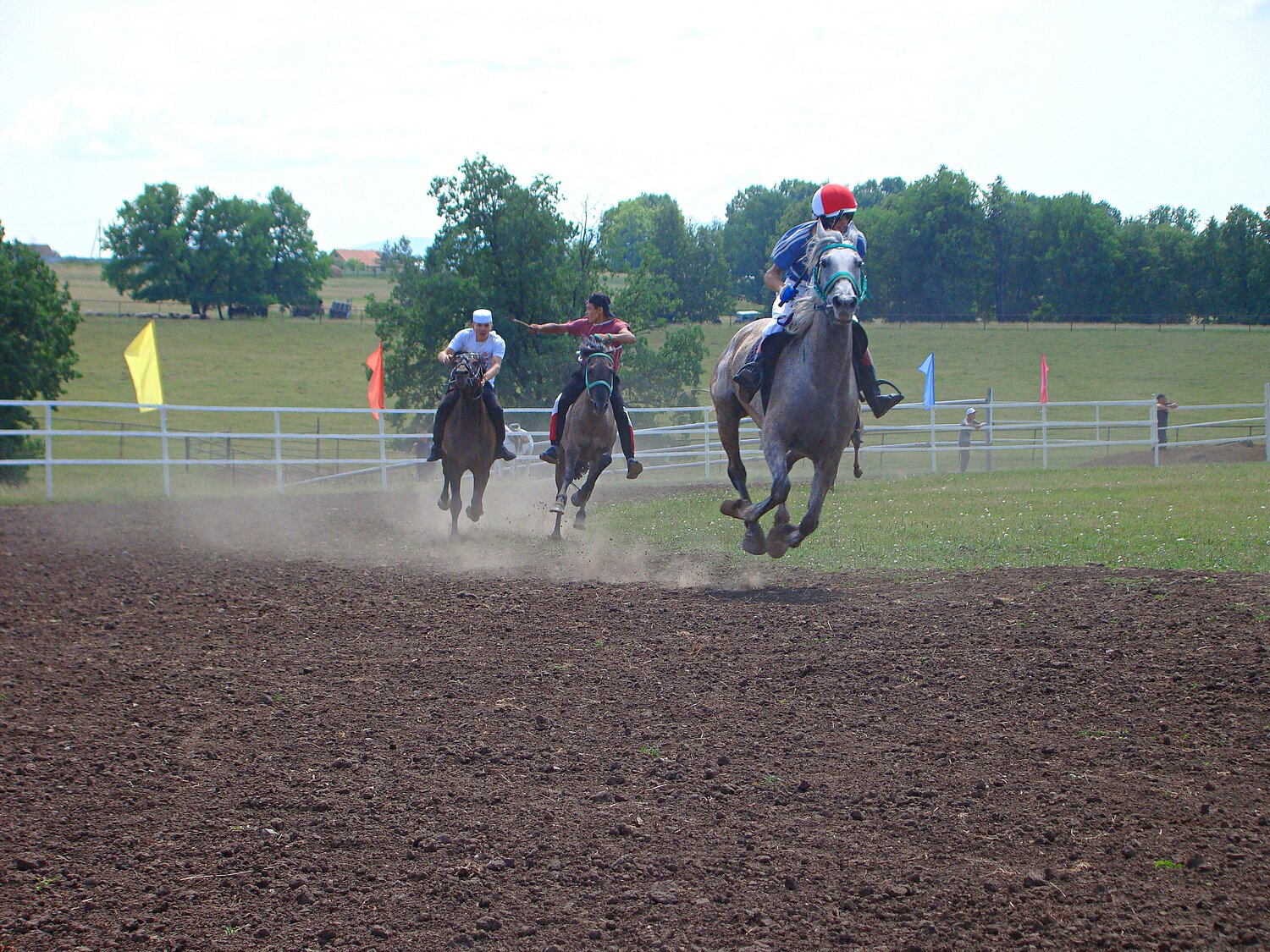 Photo #13232444