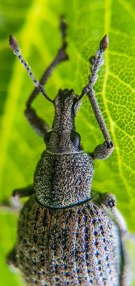 Photograph by ЕЛЕНА Рохо-Фернандес