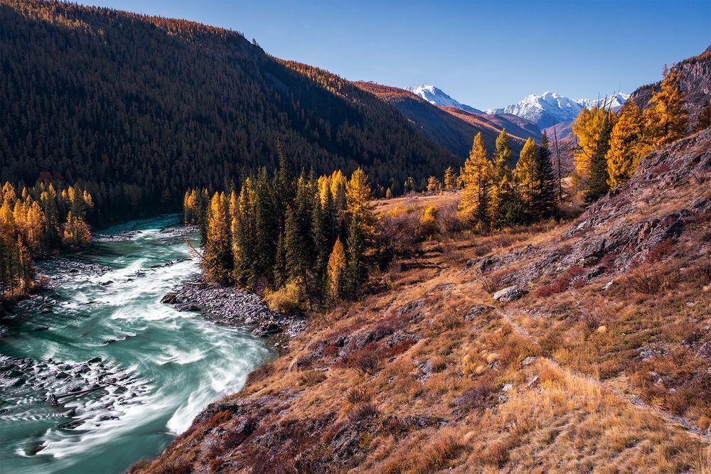Фотография автора Бодрягин Виталий