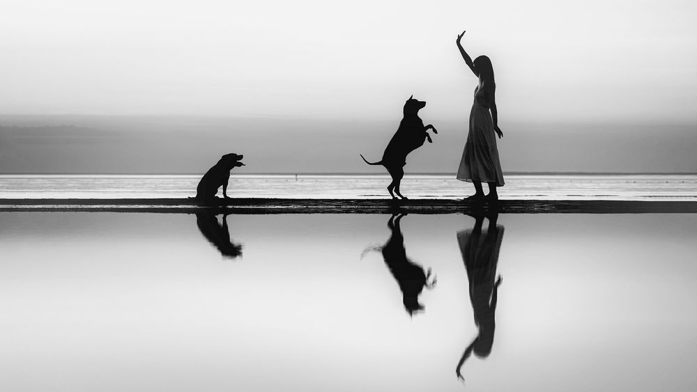 Photograph by Зубкова Юлия