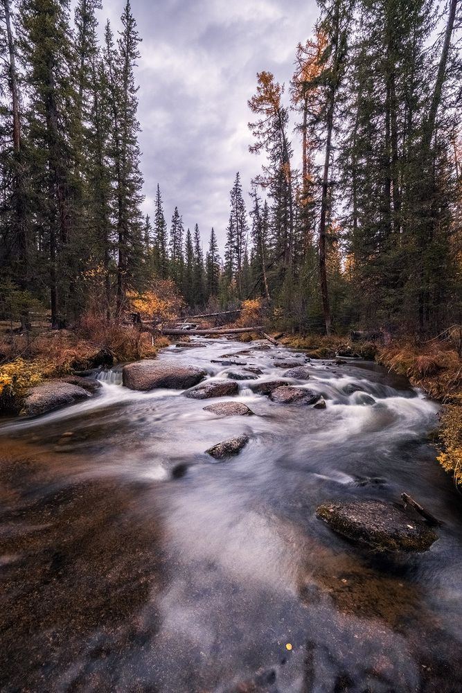 Фотография автора Бодрягин Виталий