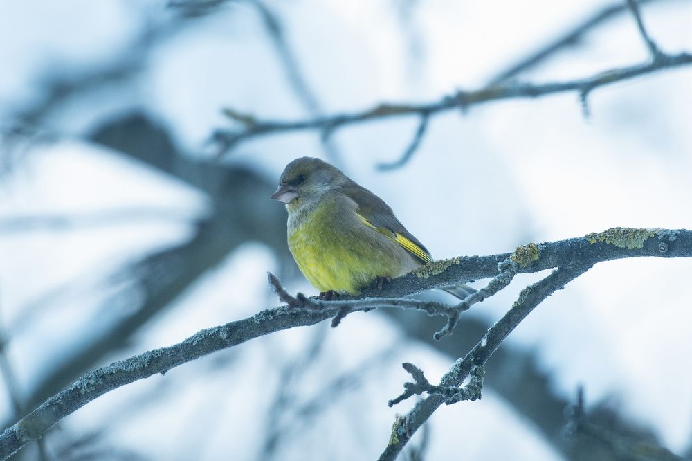 Photograph by Дарья Лисицына