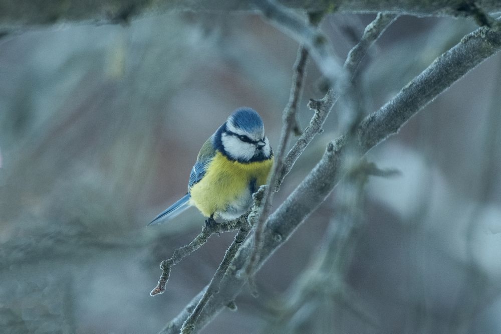 Photograph by Дарья Лисицына