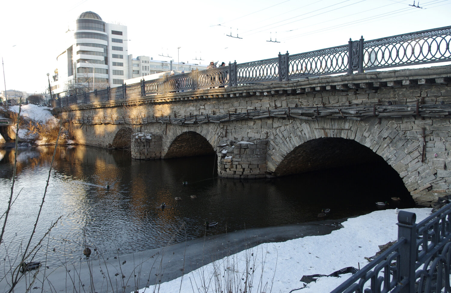 Photo #13232556