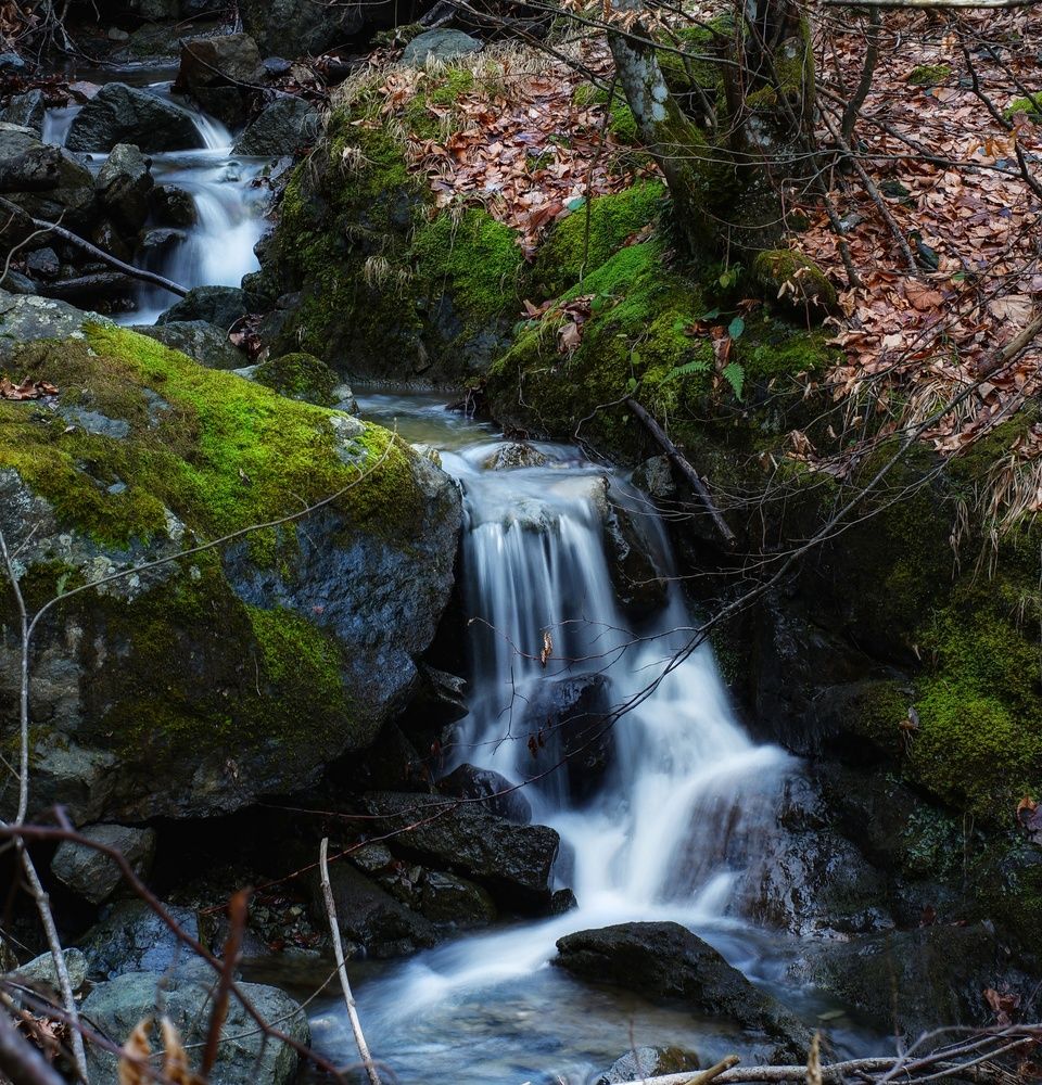 Photograph by Željka Miljić