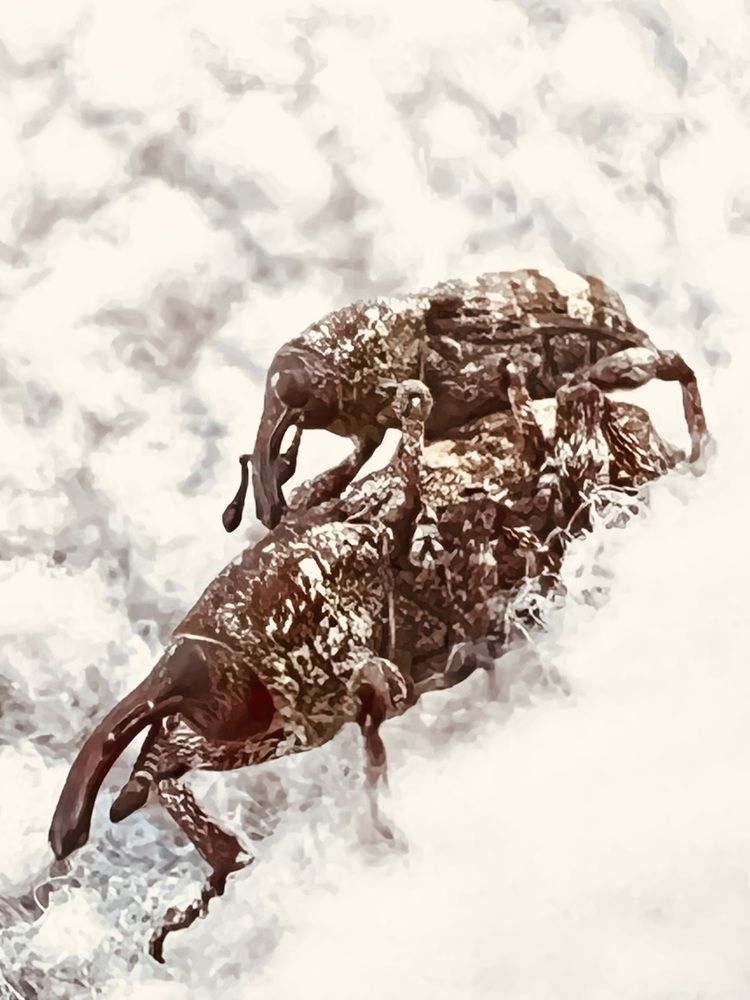 Photograph by Татьяна Михайловна