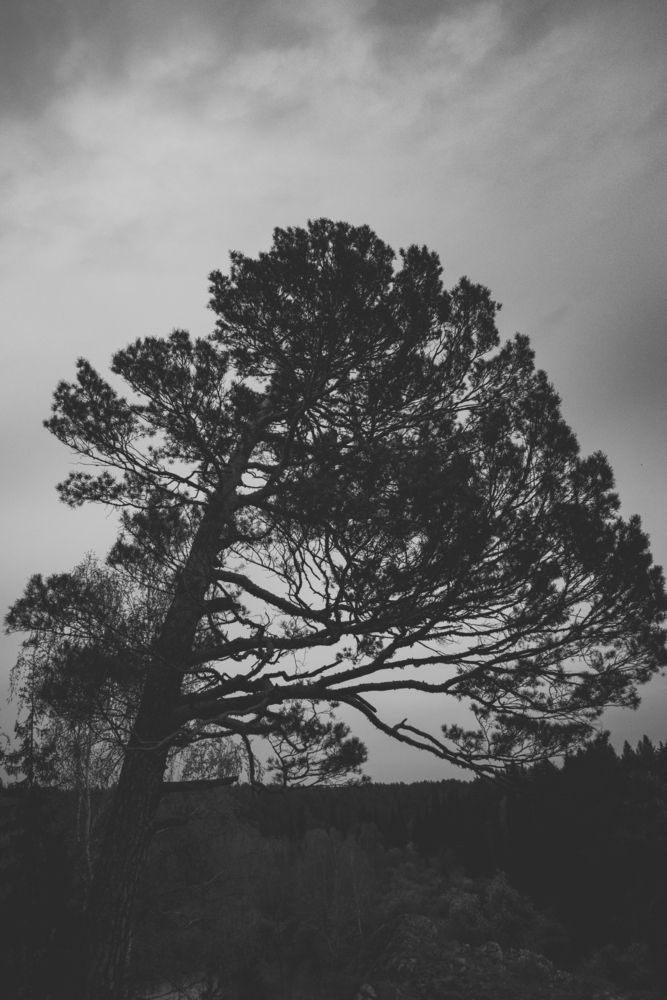 Photograph by Никита Зубов