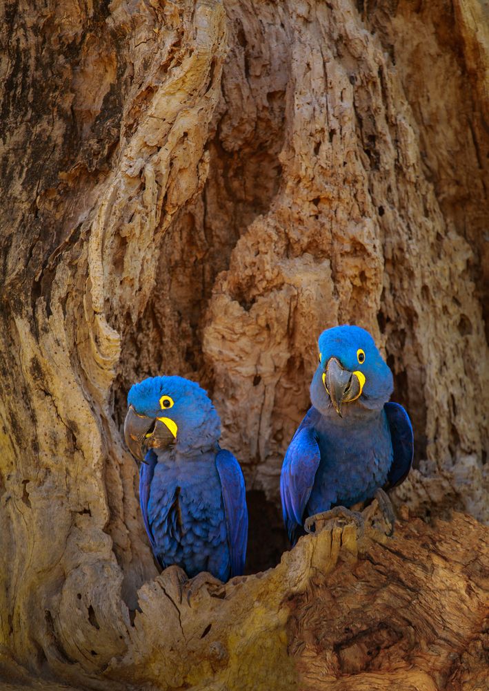 Photograph by Valdir Hobus