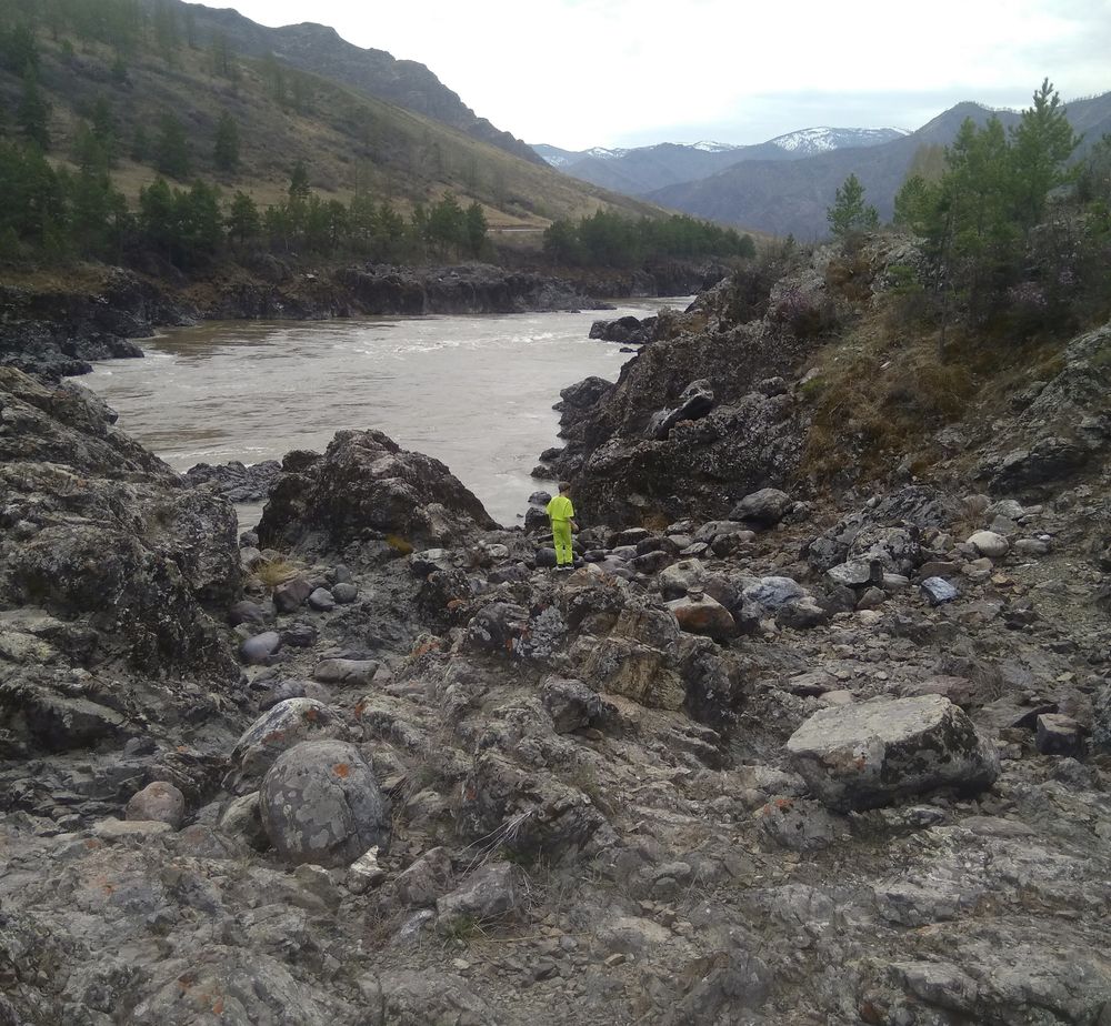 Photo #13232627