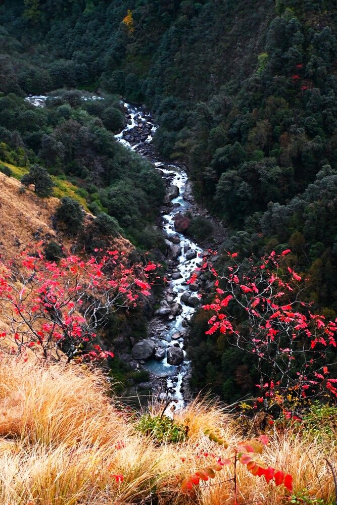 Photograph by Raushan Kumar