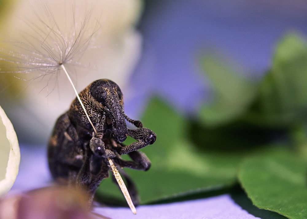 Photograph by Ольга Сергеенко