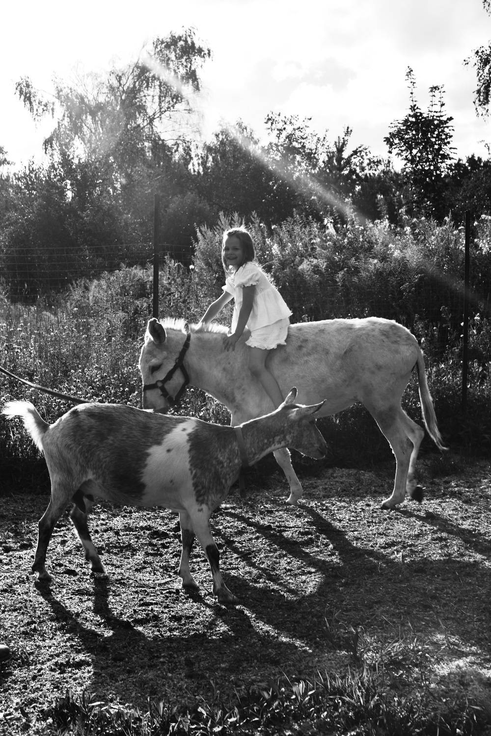 Фотография #13232686