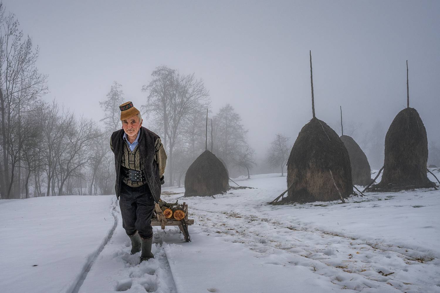 Raccolta legna Raccolta legna