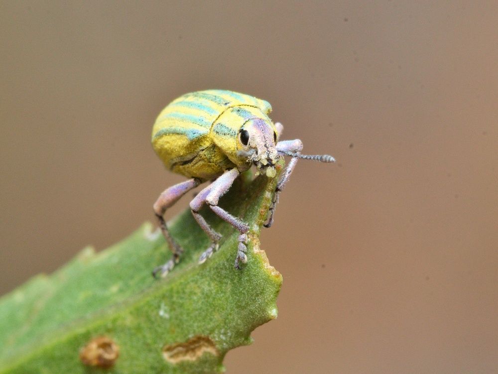 Photograph by Paula Torrent