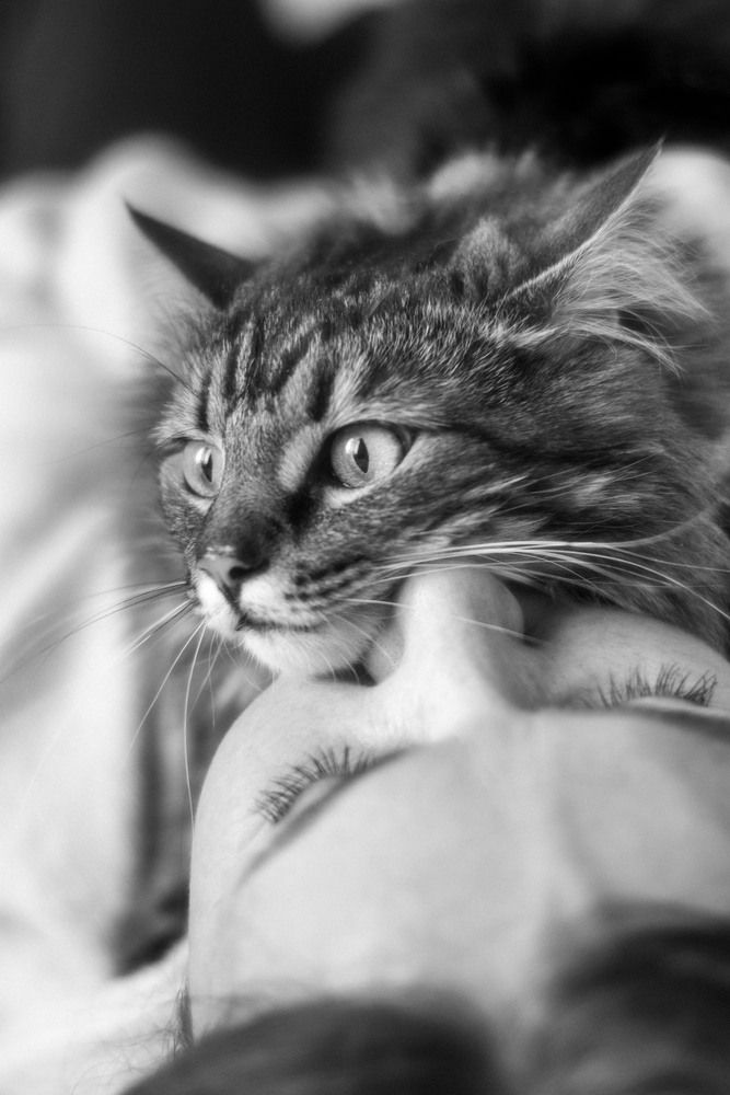 Photograph by Анастасия Каленько