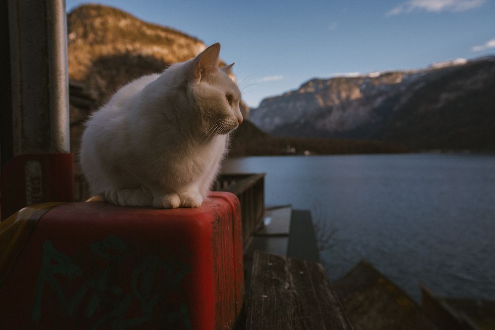 Photograph by Mariia Fedorova