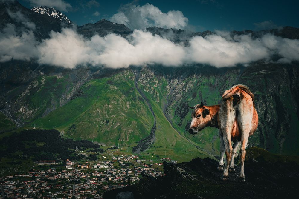 Photograph by Mariia Fedorova