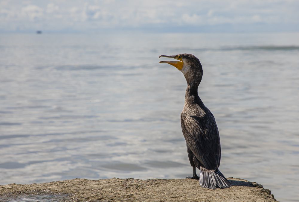 Photograph by Дарья Юсарева