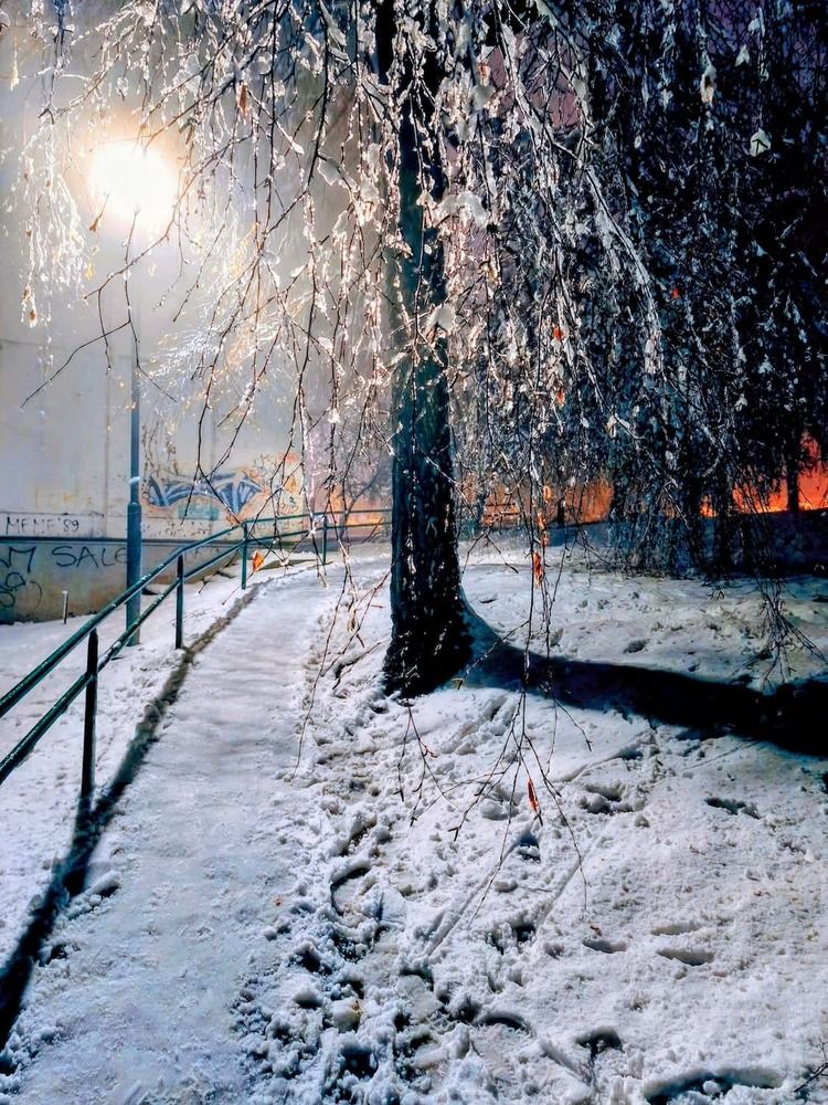 Neighborhood, Belgrade, Serbia