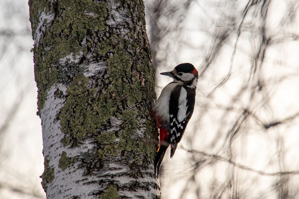 Фотография автора Иван Николаевич