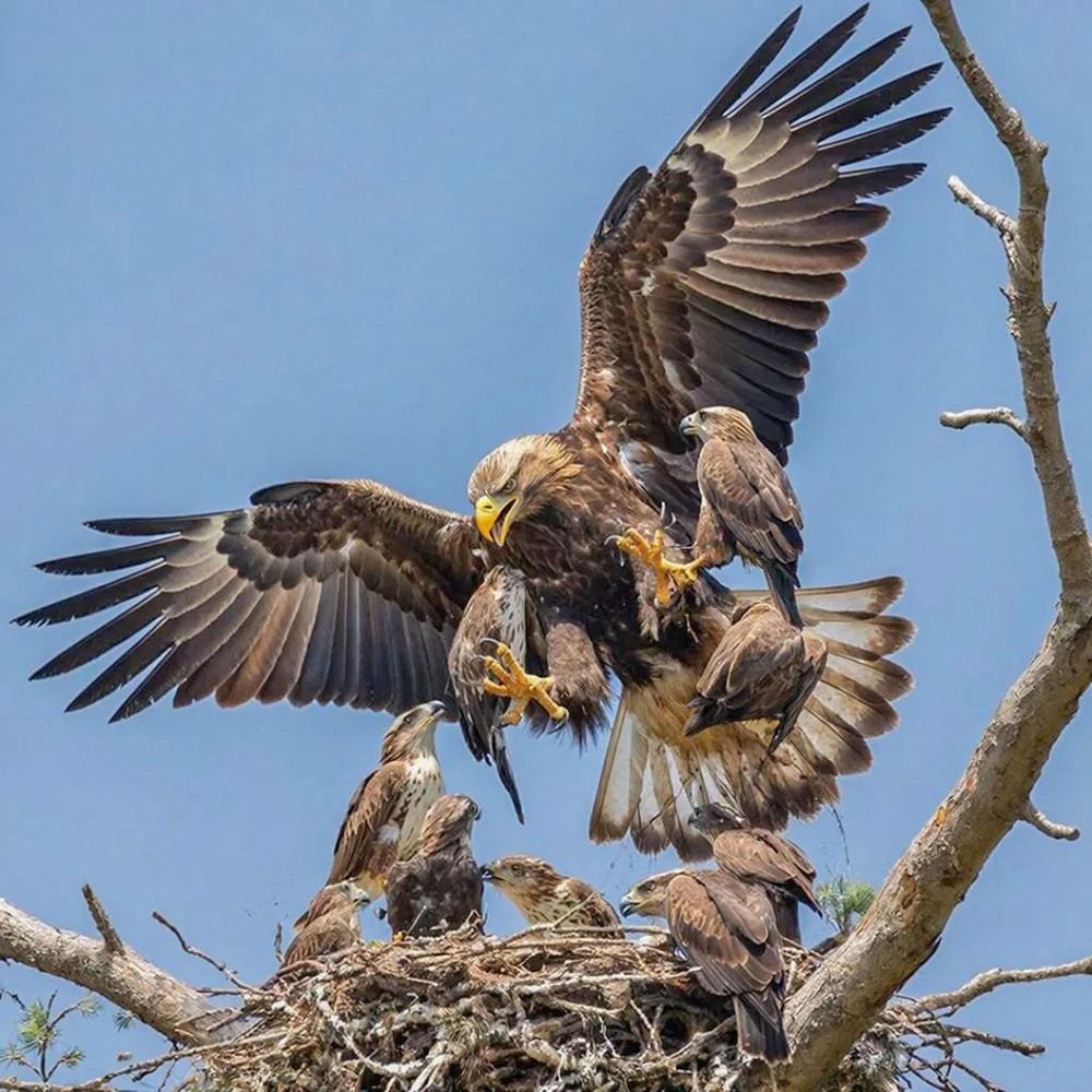 Photograph by Пушкин Сергей