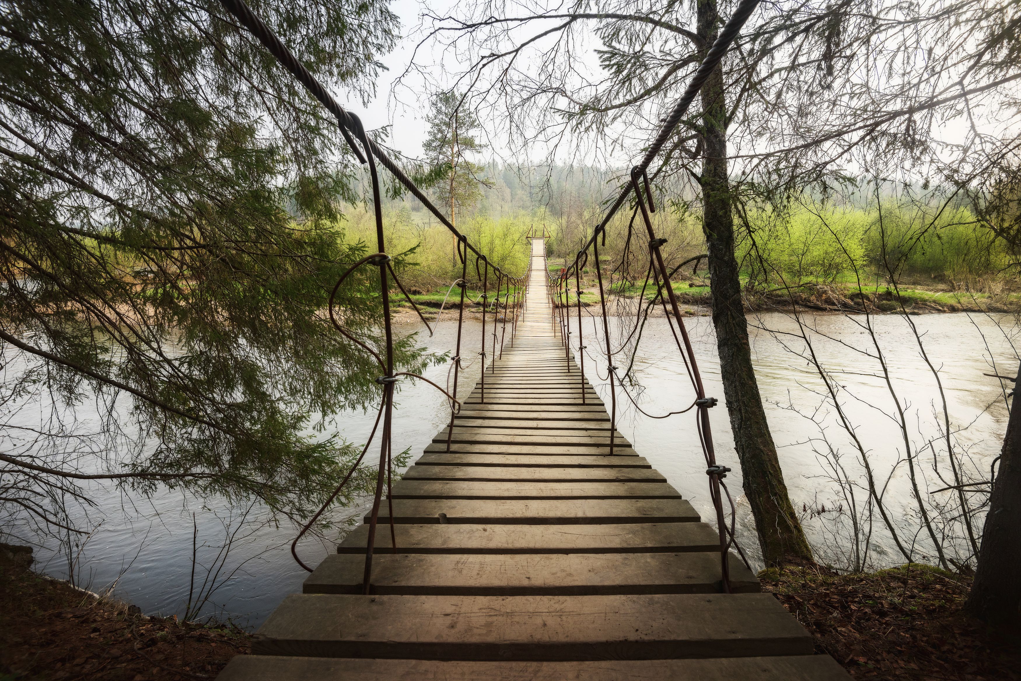 Photograph by Елена Соколова