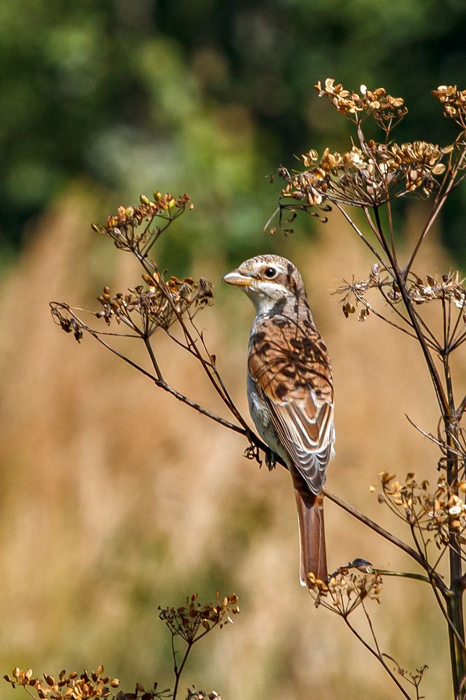 Photograph by Надежда Хрусталёва