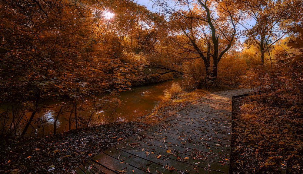 Речка Сетунь осенью.