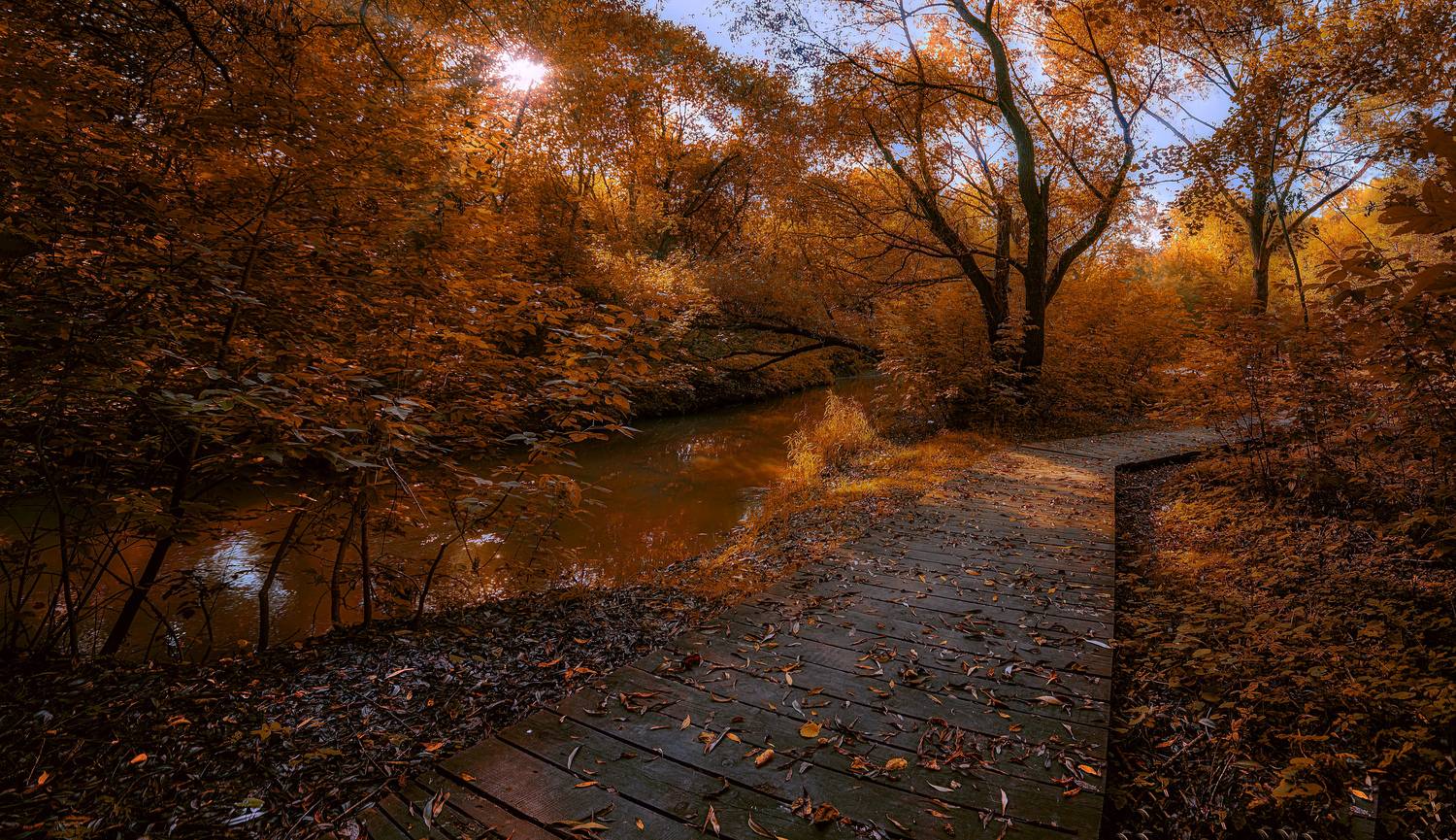 Речка Сетунь осенью.