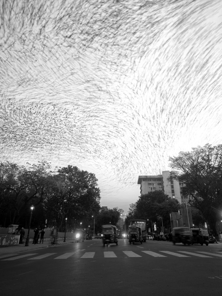 Photograph by Brijesh Dhobi