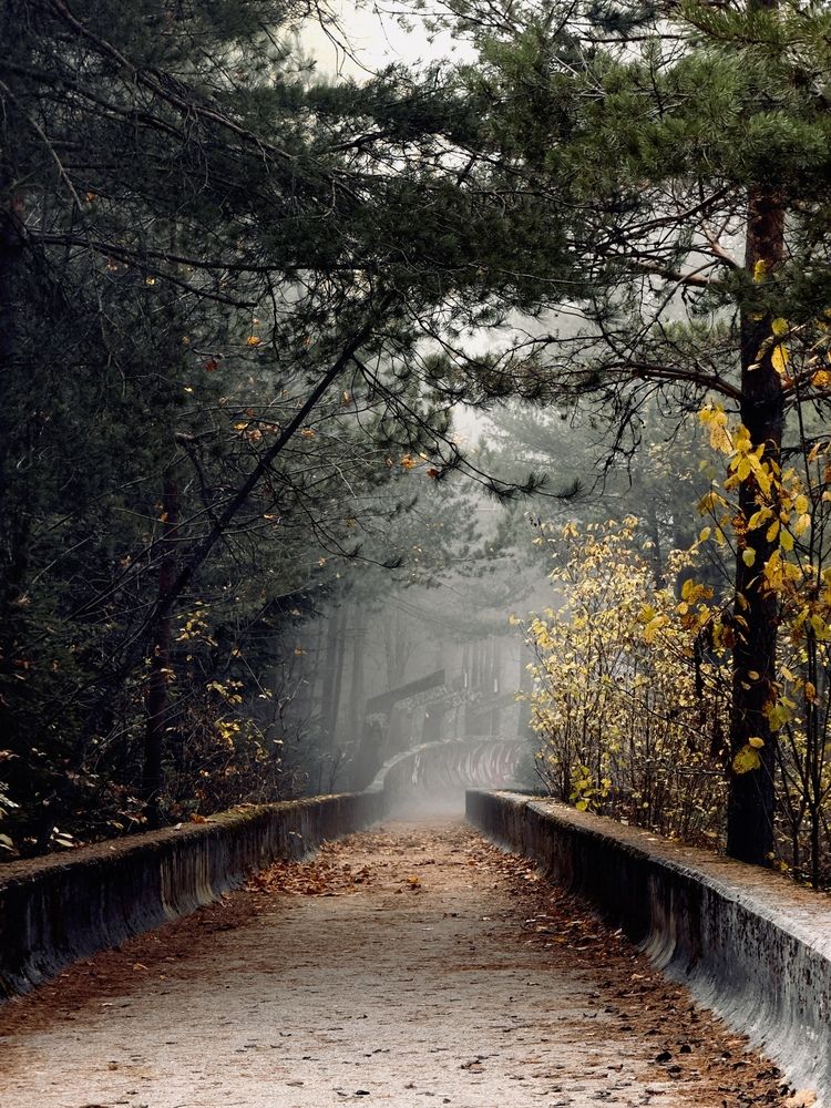 Photograph by Mariia Fedorova
