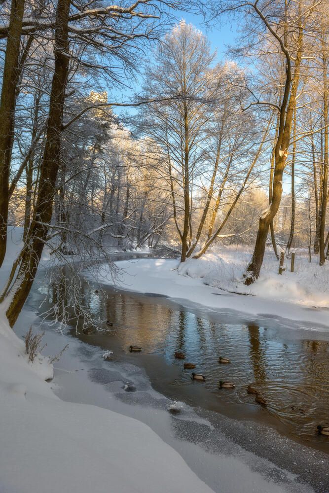 Photograph by Полина Хрол