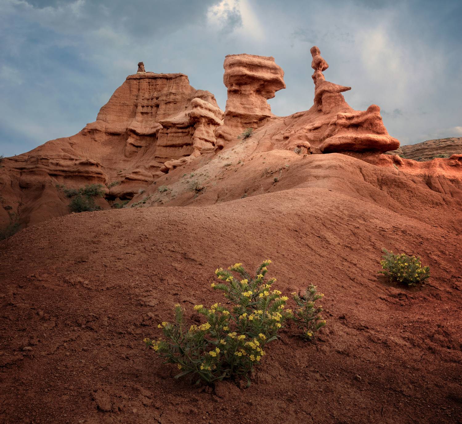 Фотография #13233028