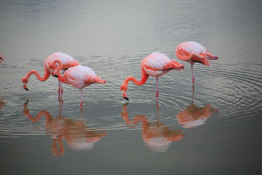 Photograph by Александр Журавлев