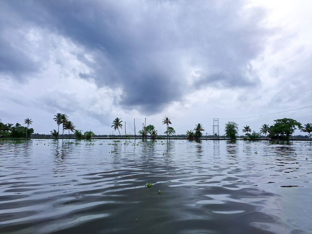 Фотография автора Murugan M