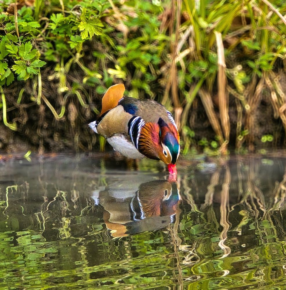 Photograph by Нина Зинченко