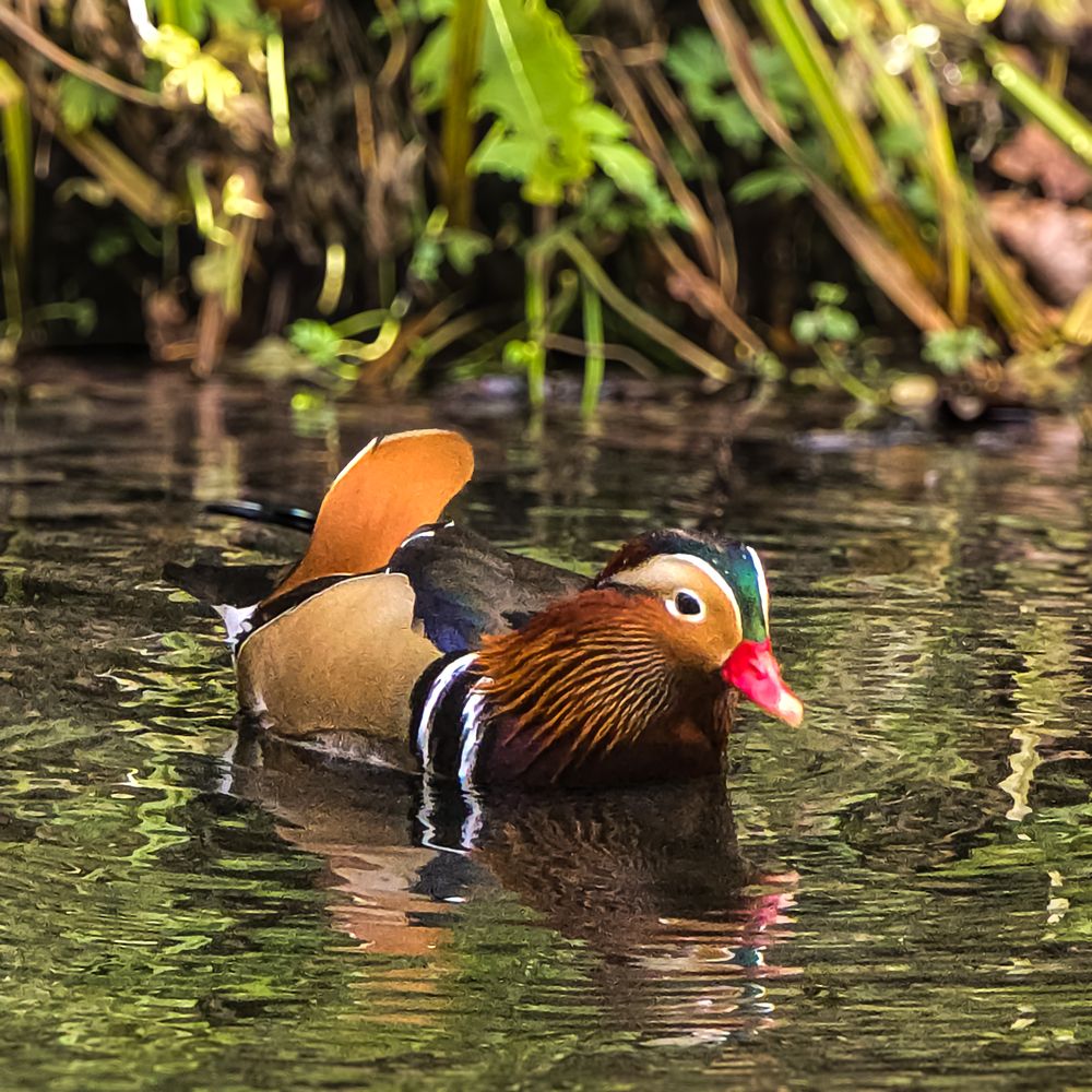 Photograph by Нина Зинченко